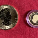 Canadian 1 oz & 10th oz Product 1